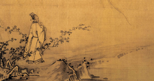 霸王花的意思,霸王花的功效和作用