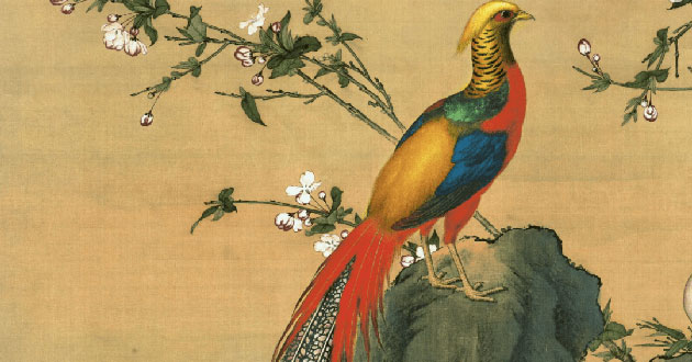 什么啼血成語，杜什么防成語